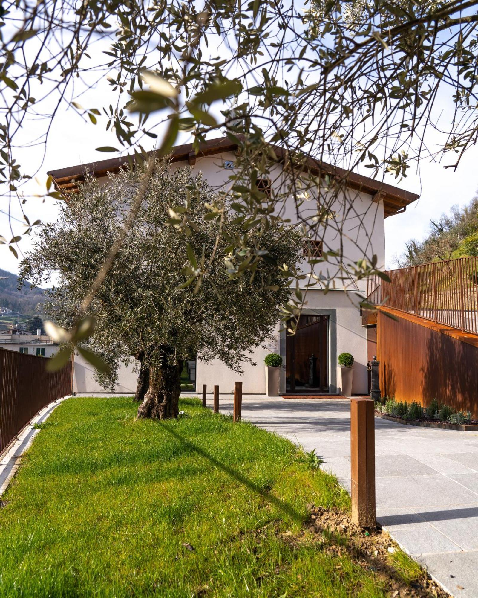 Il Pradicciolo Agriturismo Castelnuovo di Garfagnana Exterior photo